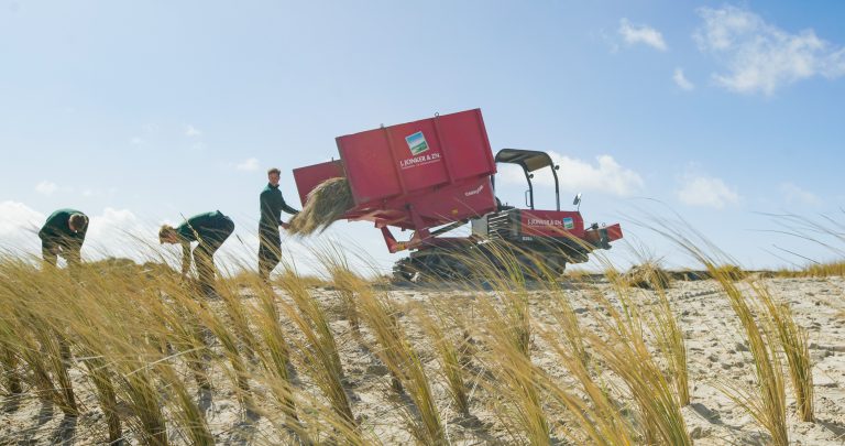 Natuurlijke kustverdediging